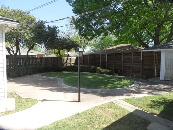a view of a backyard with a tree