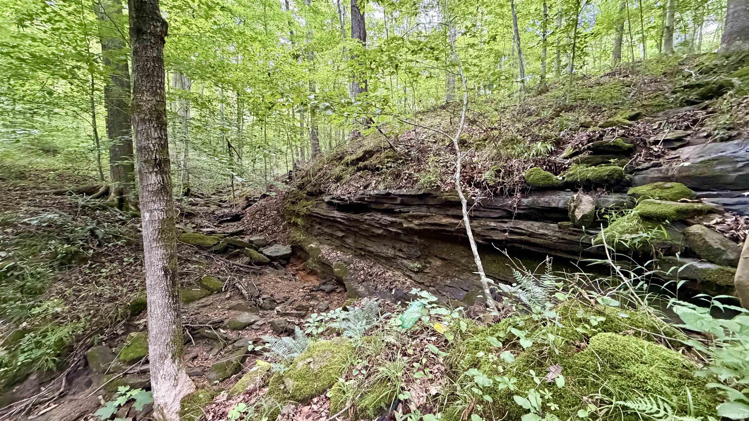 64 State Road English, IN 47118 - Photo 16 of 27