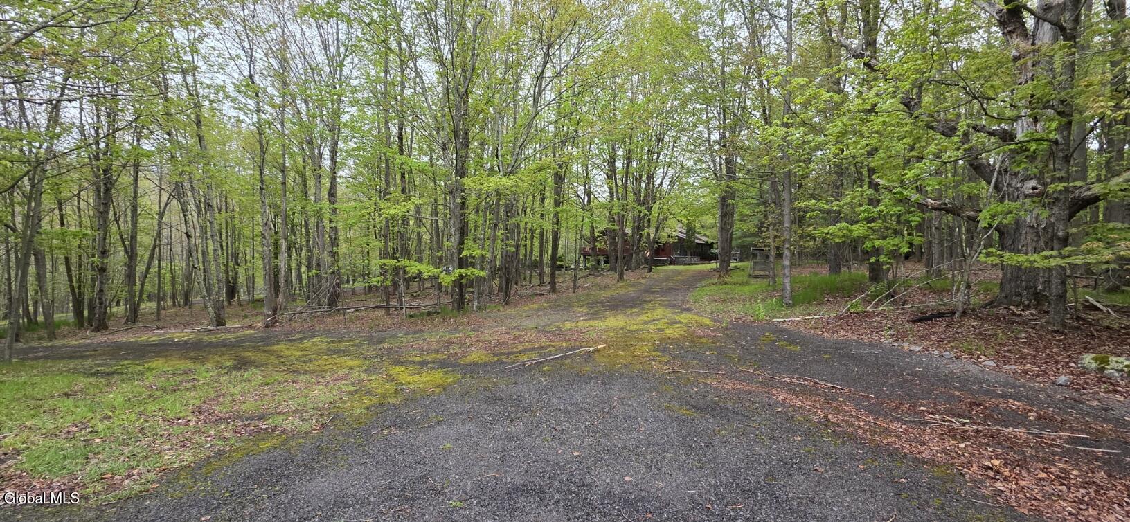 184 Cloos Road Hunter, NY 12442 - Photo 71 of 77 20260514_142609