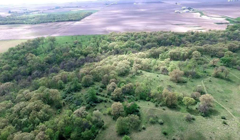 15820 West Gelling Road Princeville, IL 61559 - Photo 8 of 36 Gallery Image 8