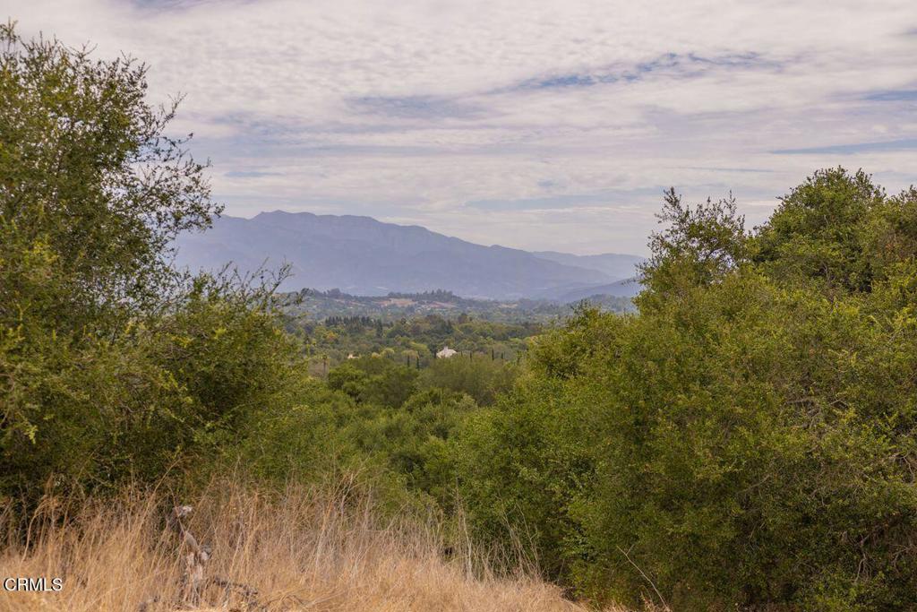 1410 Baldwin Road Ojai, CA 93023 - Photo 19 of 23 Gallery Image 19