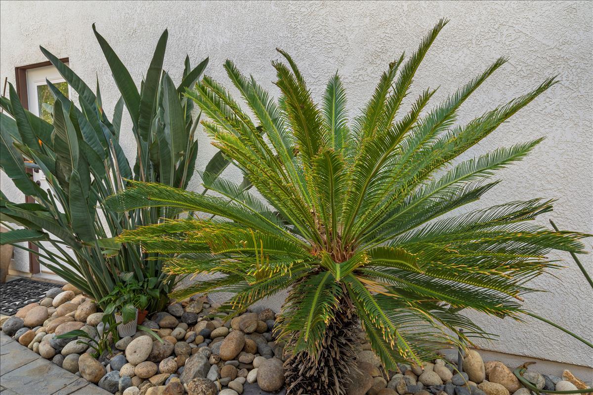 1935 St Andrews Circle Gilroy, CA 95020 - Photo 54 of 84