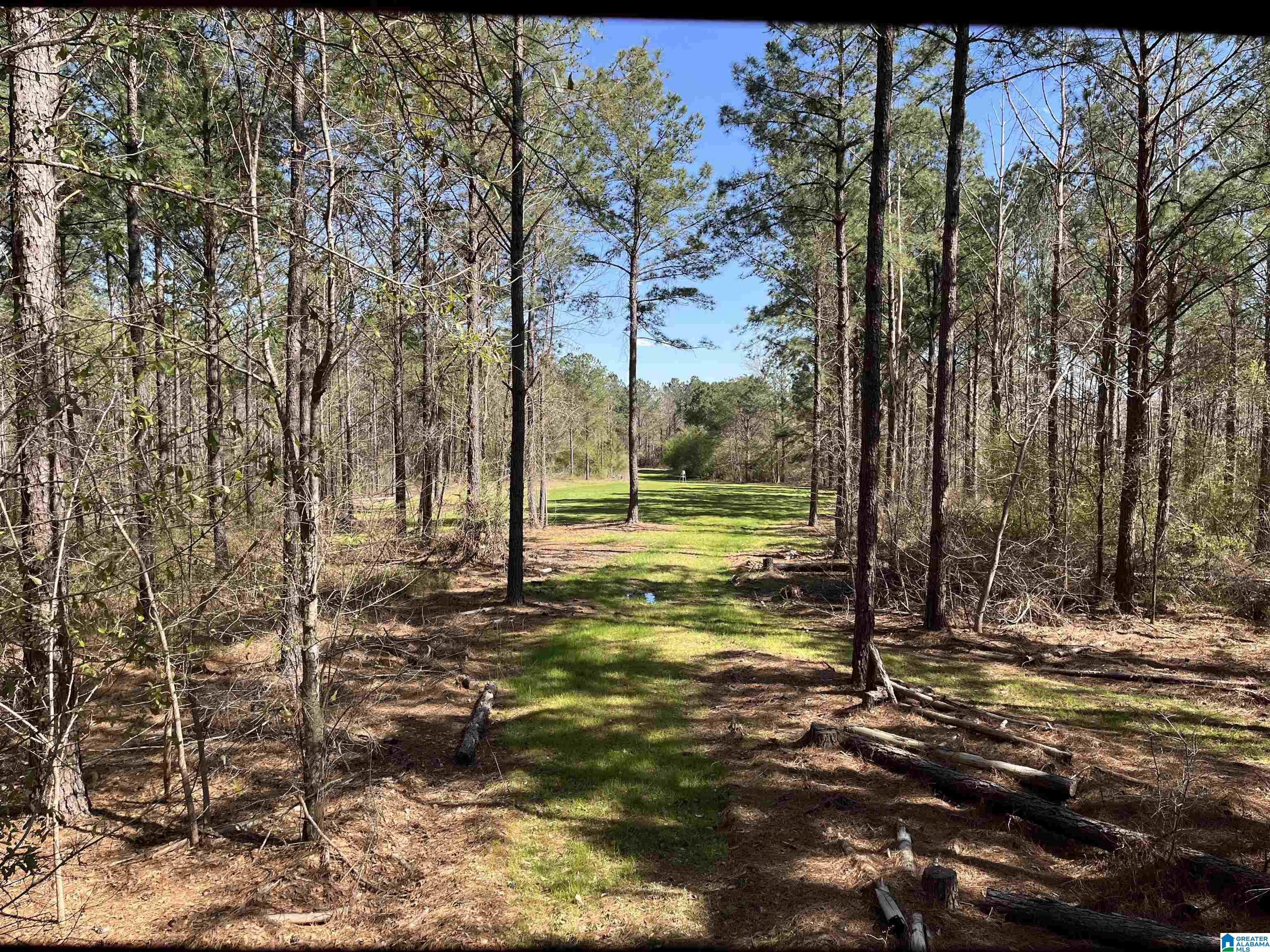 1354 Yeager Road Brent, AL 35034 - Photo 28 of 50 Gallery Image 28