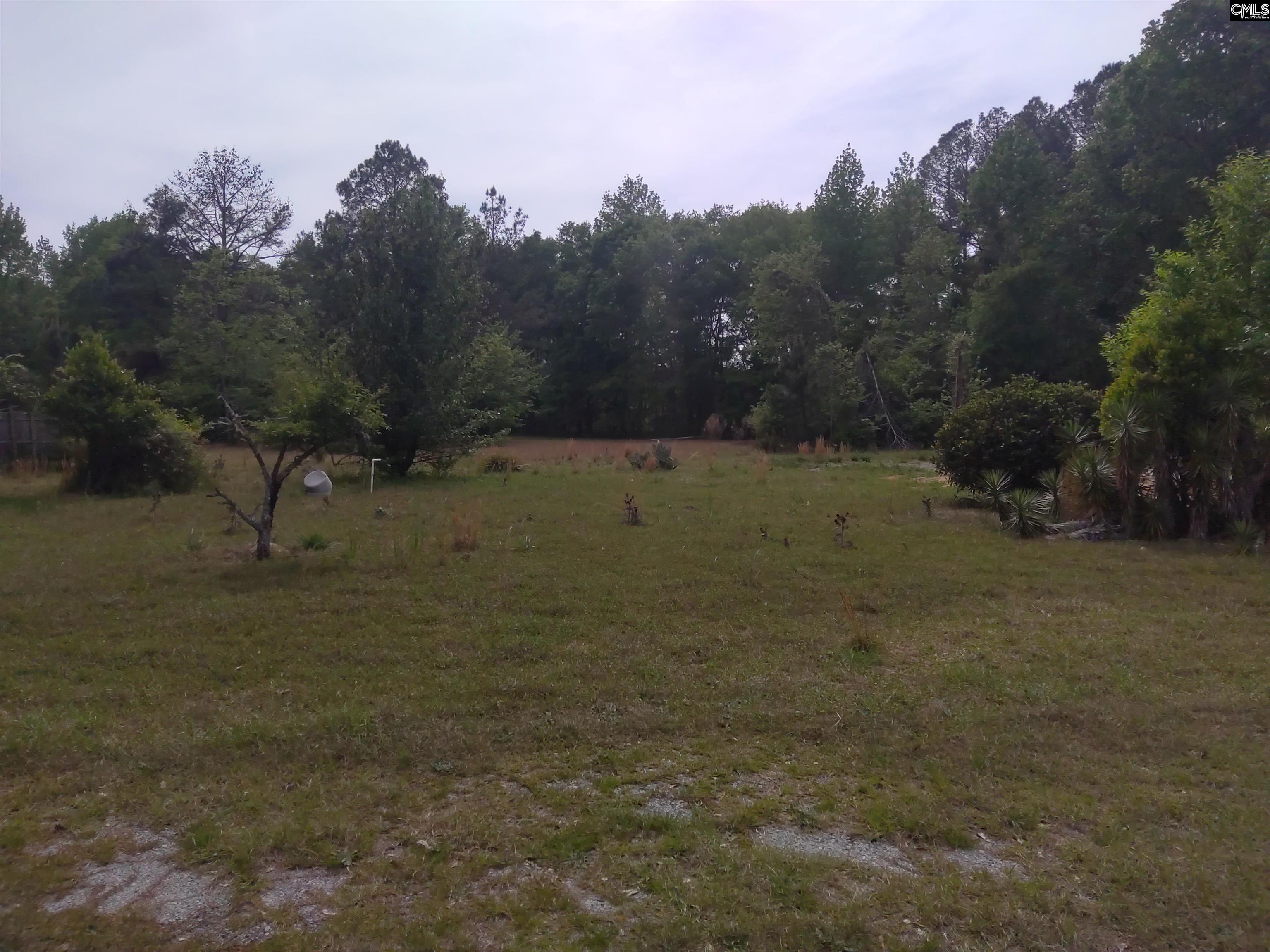 242 Ault Road Hopkins, SC 29061 - Photo 10 of 15