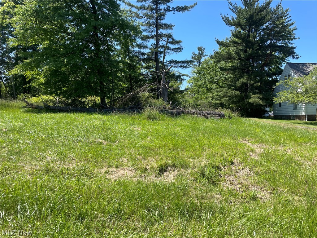 8026 Broadview Road Broadview Heights, OH 44147 - Photo 2 of 5 View of yard