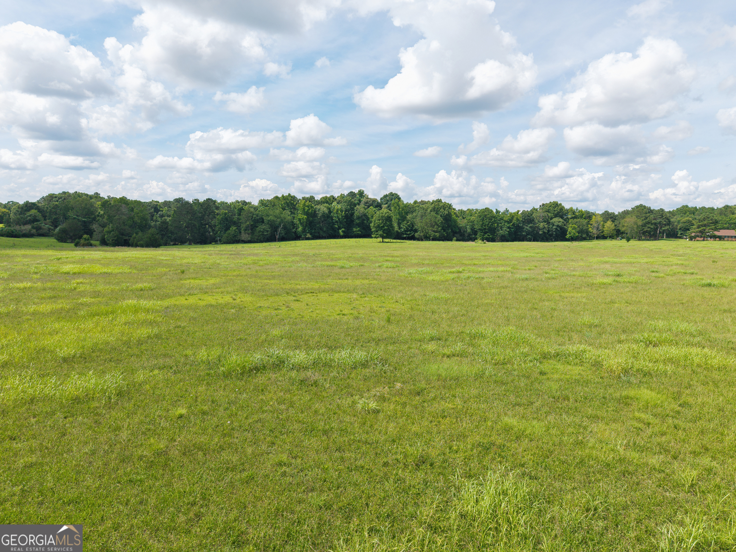 1231 Thankful Road Madison, GA 30650 - Photo 8 of 13