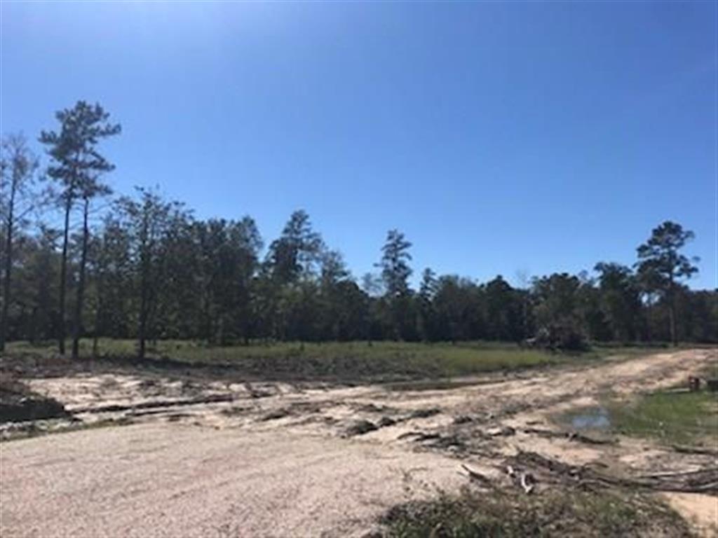 0 Tbd Clark Road Dequincy, LA 70633 - Photo 1 of 1 Gallery Image 1