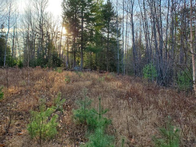 Lot 12 Needham Road Norway, ME 04268 - Photo 1 of 9 20210201011530189545000000-o
