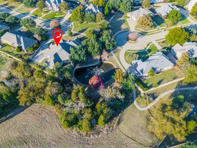 a view of a lot of flowers and flowers