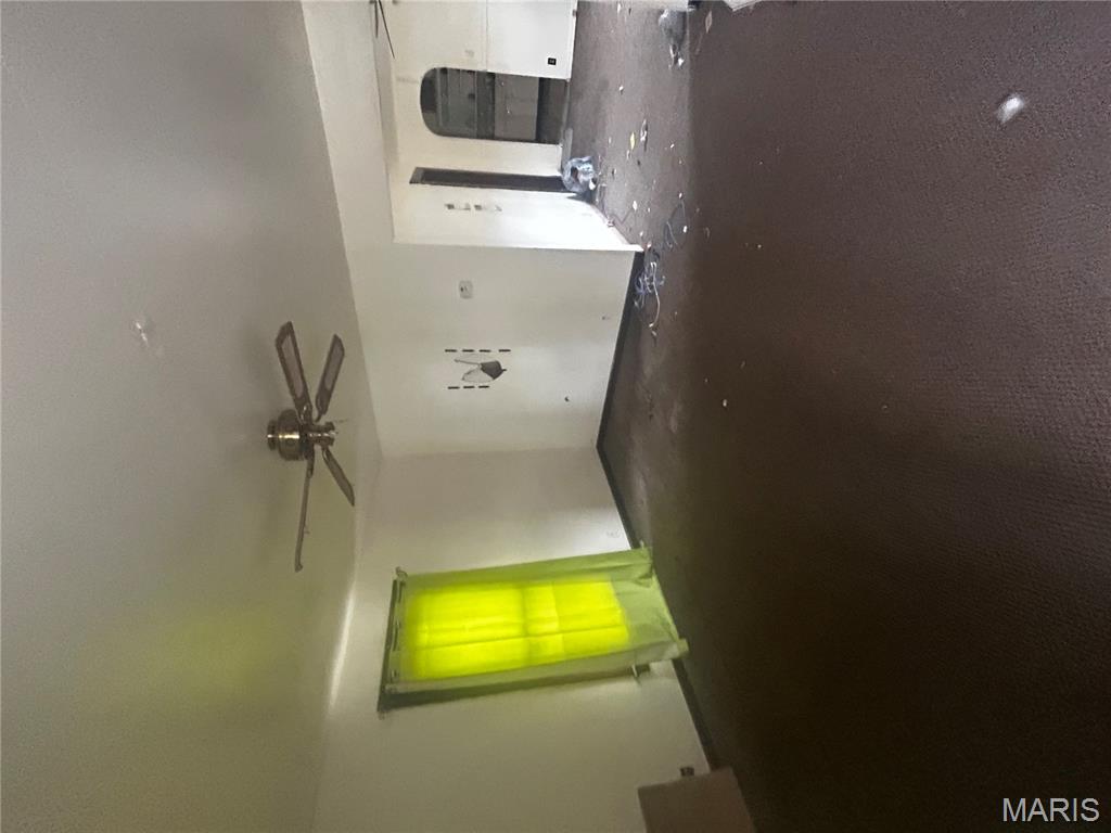 111 West Middleton Street Witt, IL 62094 - Photo 14 of 44