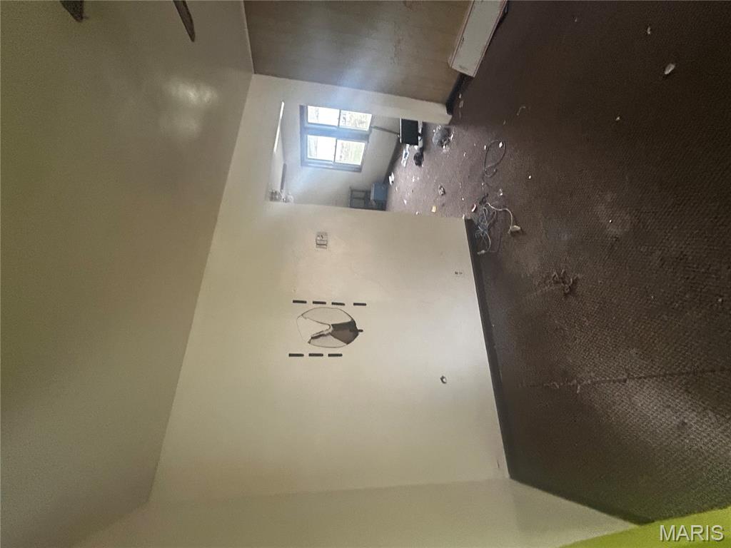 111 West Middleton Street Witt, IL 62094 - Photo 17 of 44