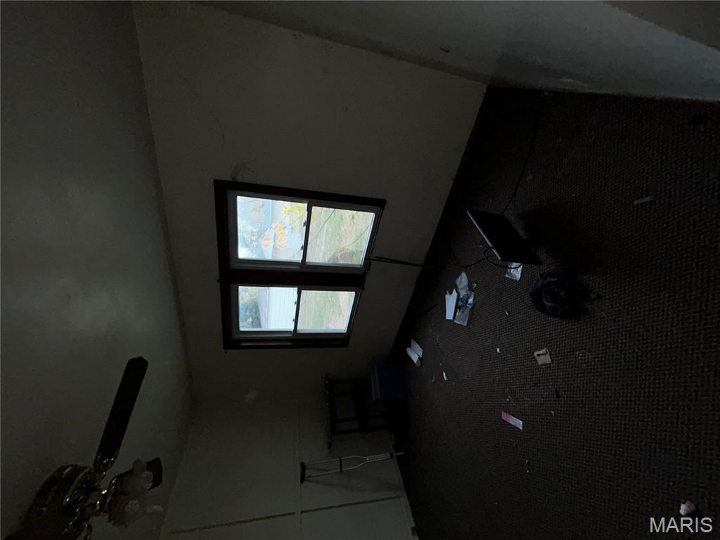 111 West Middleton Street Witt, IL 62094 - Photo 25 of 44