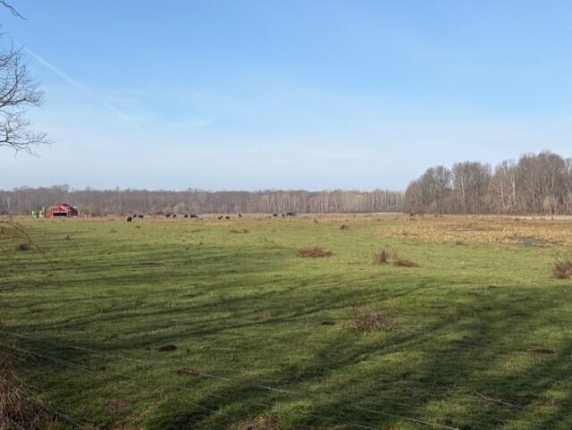 540 Flag Dale Road South Junction City, OH 43748 - Photo 34 of 48 Pasture fields