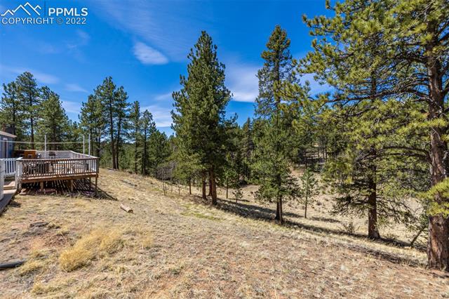 2173 Pathfinder Road Florissant, CO 80816 - Photo 29 of 34 Gallery Image 29