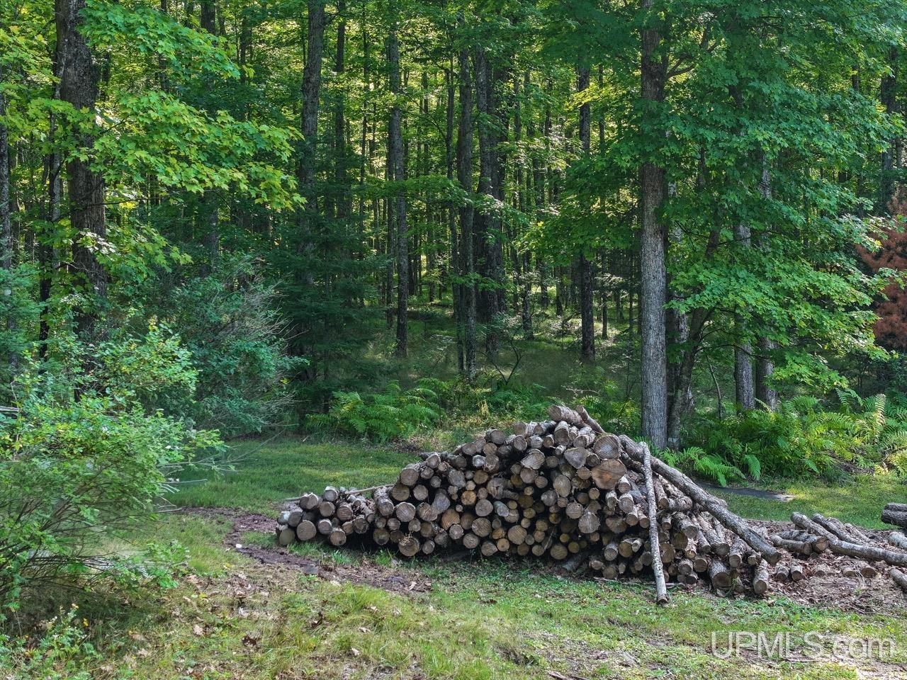 441 Idlewild Road Crystal Falls, MI 49920 - Photo 77 of 82 Gallery Image 77