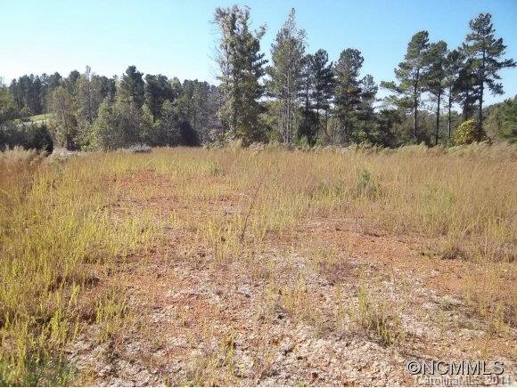 Lot 23 Rachel Bell Road Mill Spring, NC 28756 - Photo 1 of 12