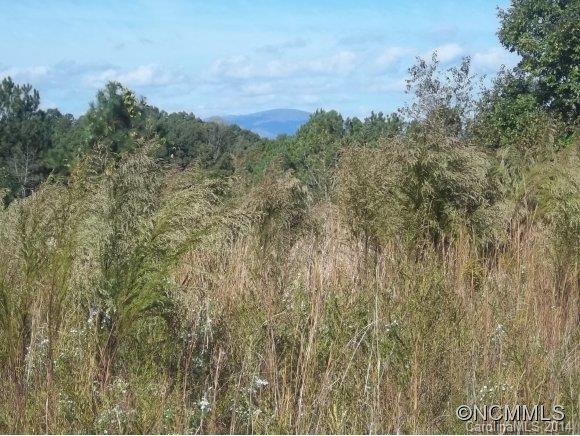 Lot 23 Rachel Bell Road Mill Spring, NC 28756 - Photo 3 of 12