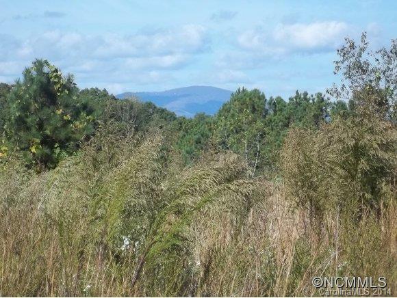 Lot 23 Rachel Bell Road Mill Spring, NC 28756 - Photo 4 of 12
