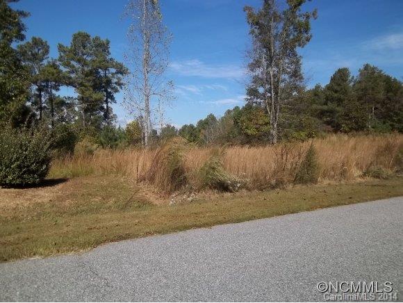 Lot 23 Rachel Bell Road Mill Spring, NC 28756 - Photo 7 of 12