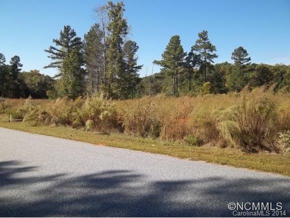 Lot 23 Rachel Bell Road Mill Spring, NC 28756 - Photo 8 of 12