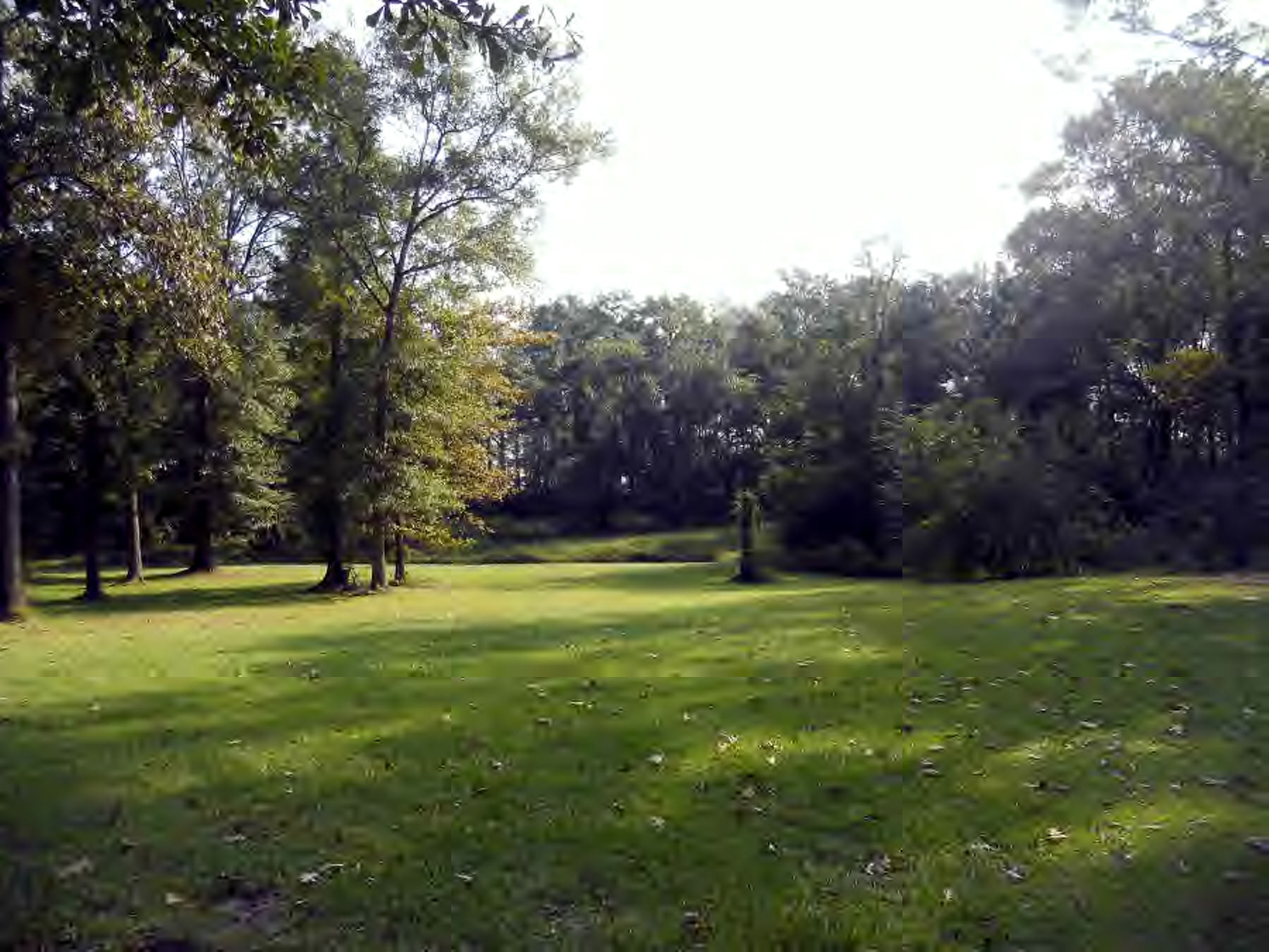 3455 Bunkley Road Meadville, MS 39653 - Photo 12 of 18 Additional View 11