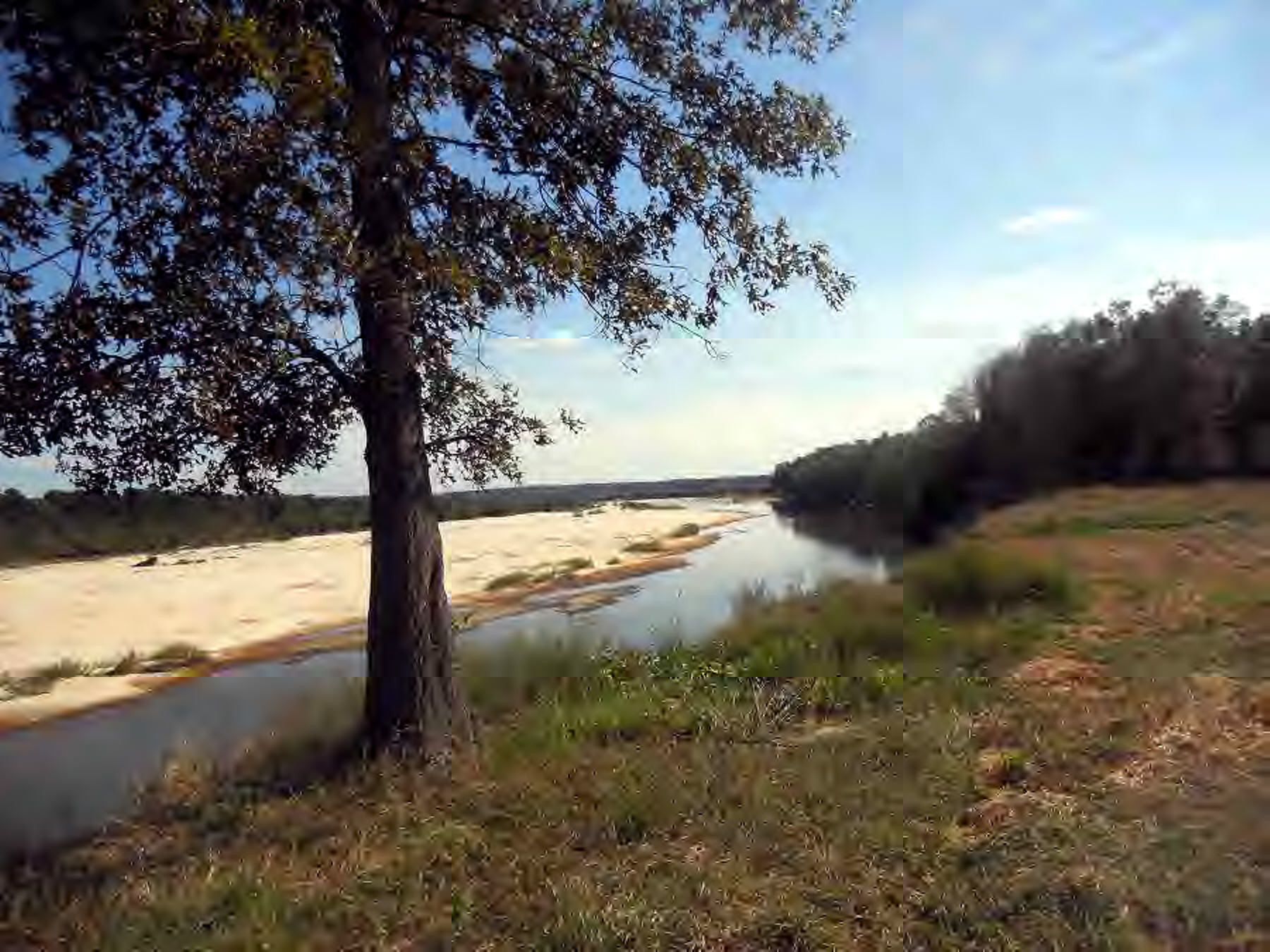 3455 Bunkley Road Meadville, MS 39653 - Photo 16 of 18 Additional View 16