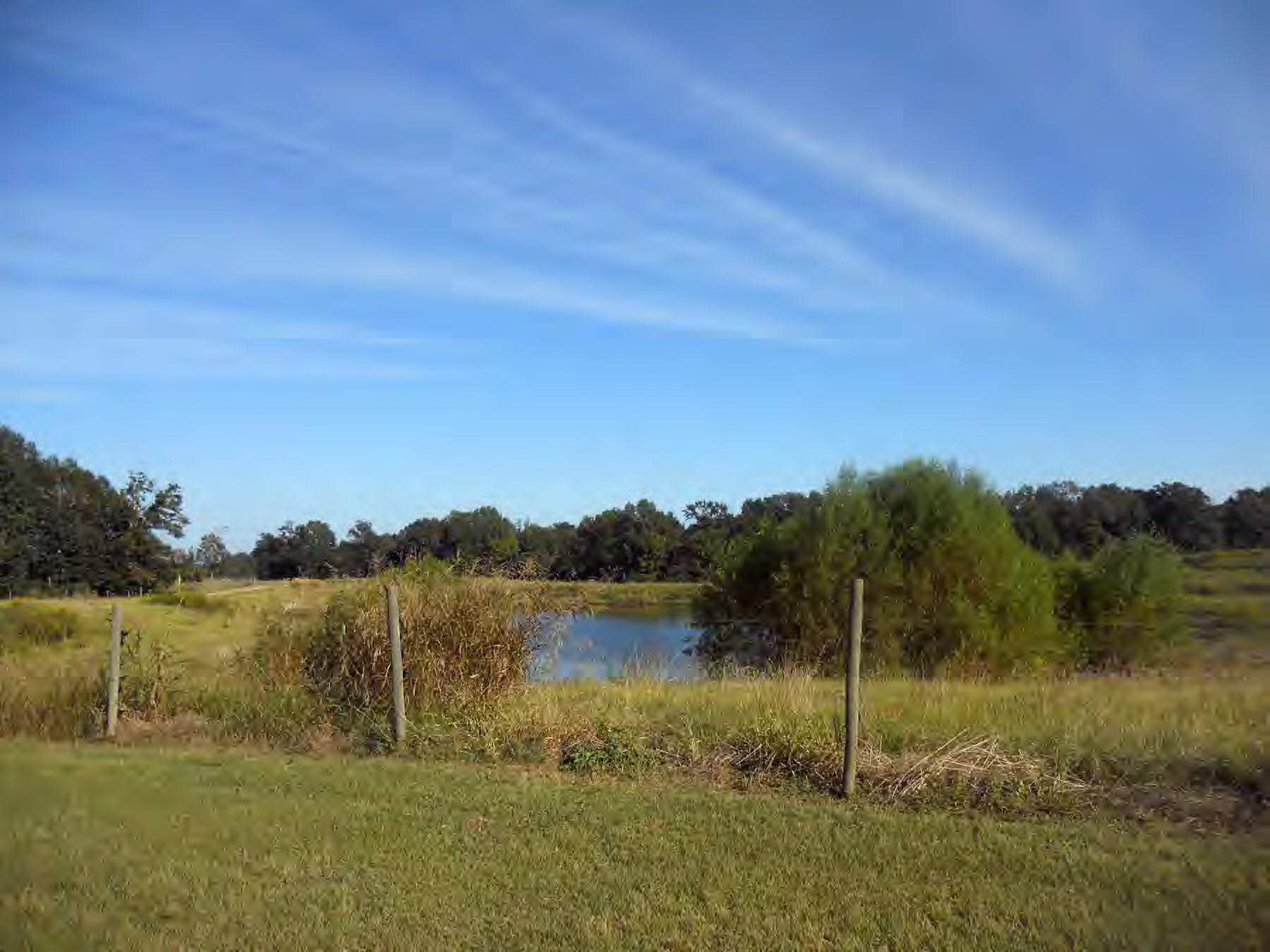 3455 Bunkley Road Meadville, MS 39653 - Photo 18 of 18 Additional View 18