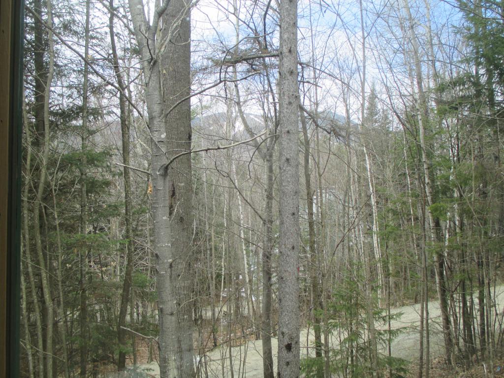 57 Snow's Mountain Road Waterville Valley, NH 03215 - Photo 27 of 29