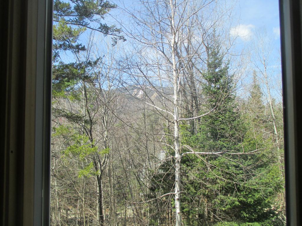 57 Snow's Mountain Road Waterville Valley, NH 03215 - Photo 28 of 29