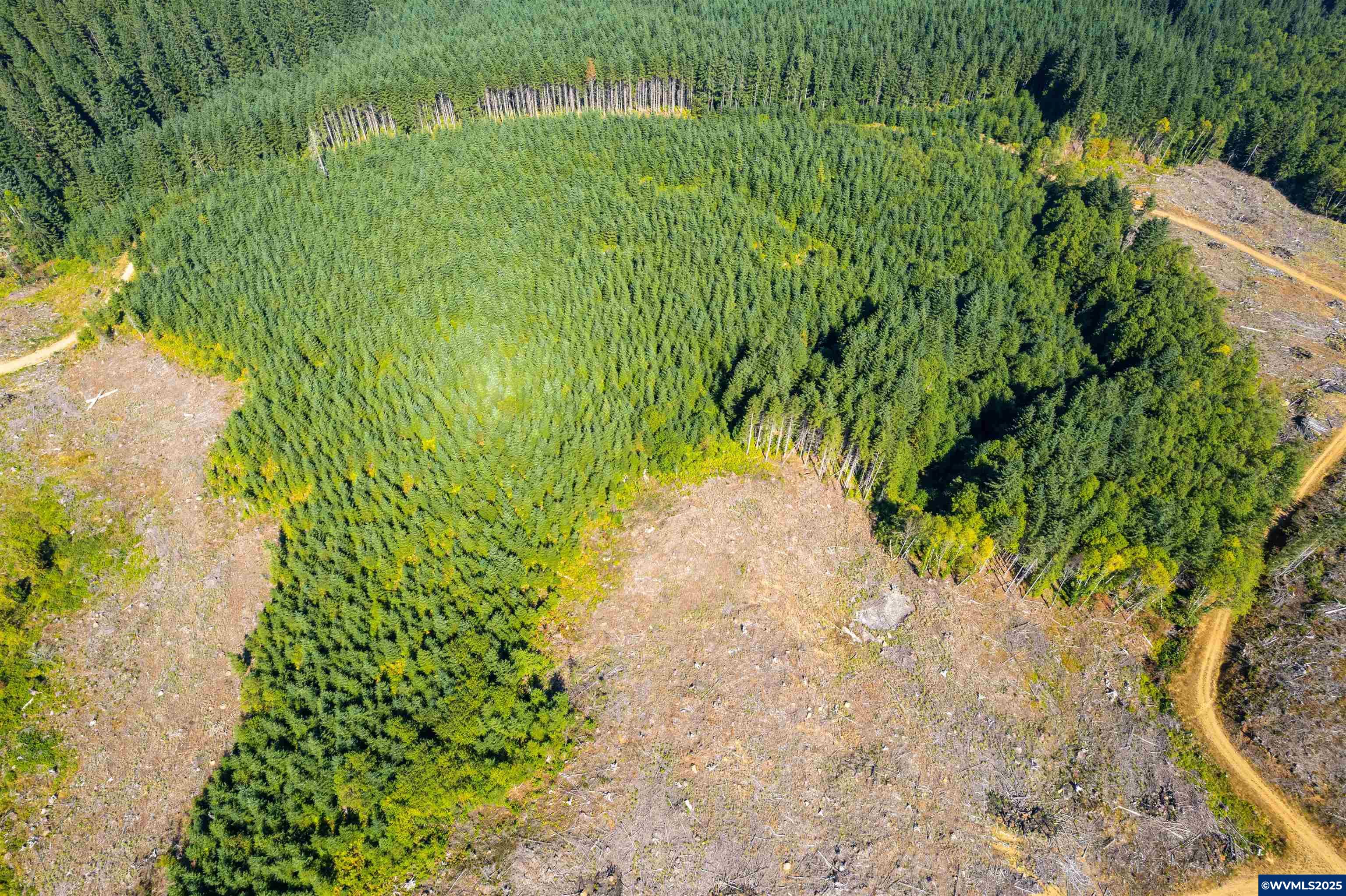 0 Bald Mountain Access Road Willamina, OR 97396 - Photo 21 of 30