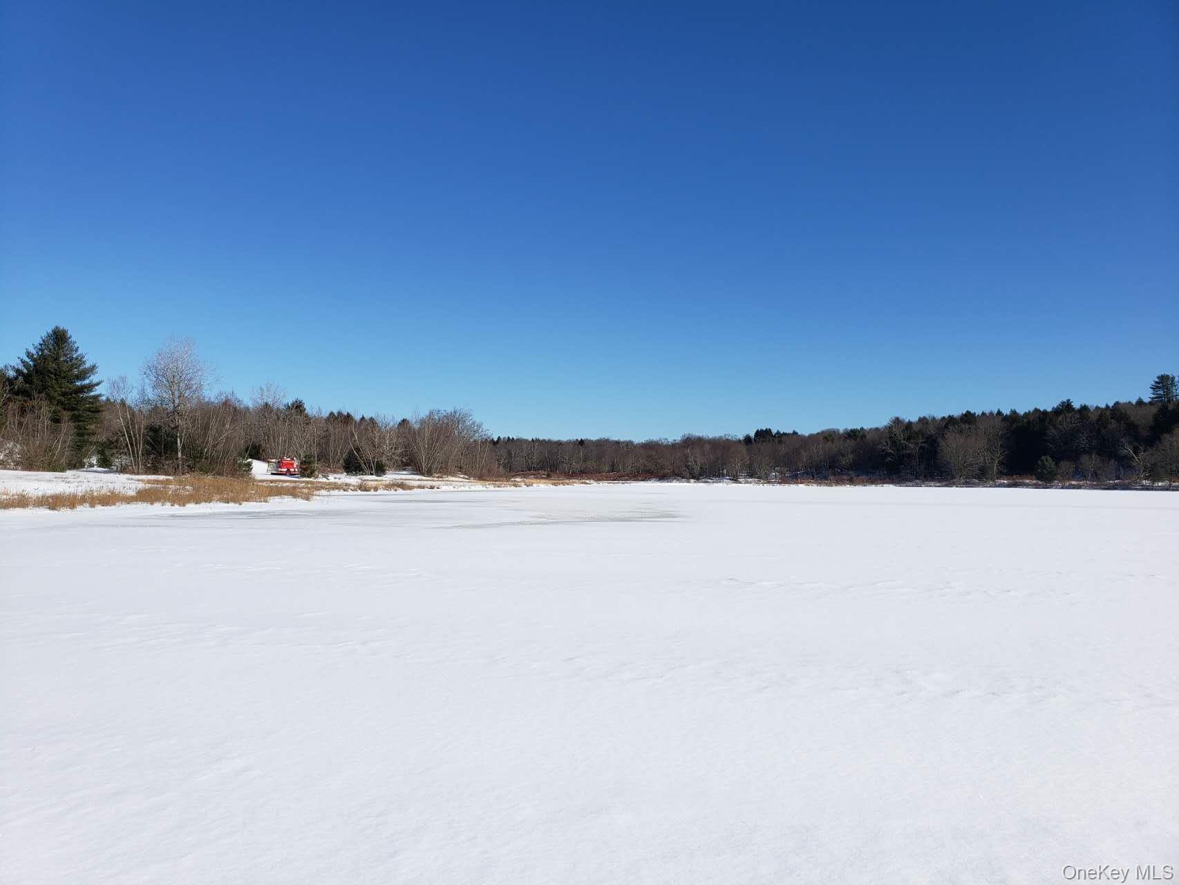 64 Gale Road Bethel, NY 12762 - Photo 7 of 15