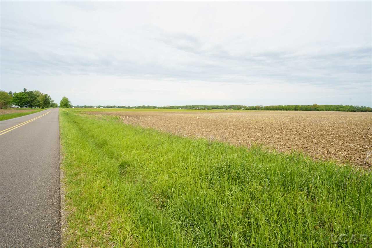 8000 West Yankee Road Morenci, MI 49256 - Photo 2 of 30 Gallery Image 2