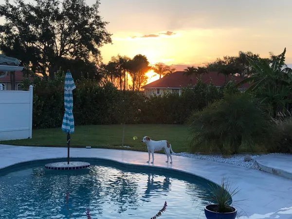 $1,649,000 | 15925 Springhill Court, Wellington, FL 33414