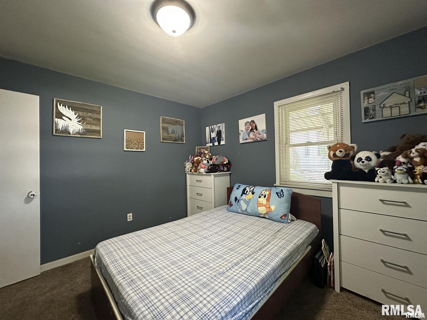 525 North Street Murphysboro, IL 62966 - Photo 17 of 24