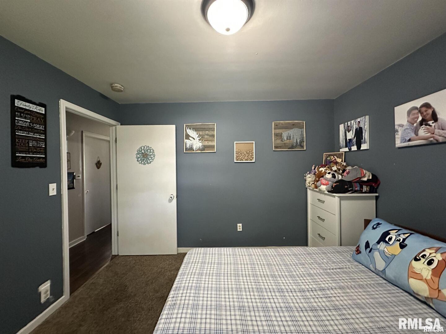 525 North Street Murphysboro, IL 62966 - Photo 19 of 24