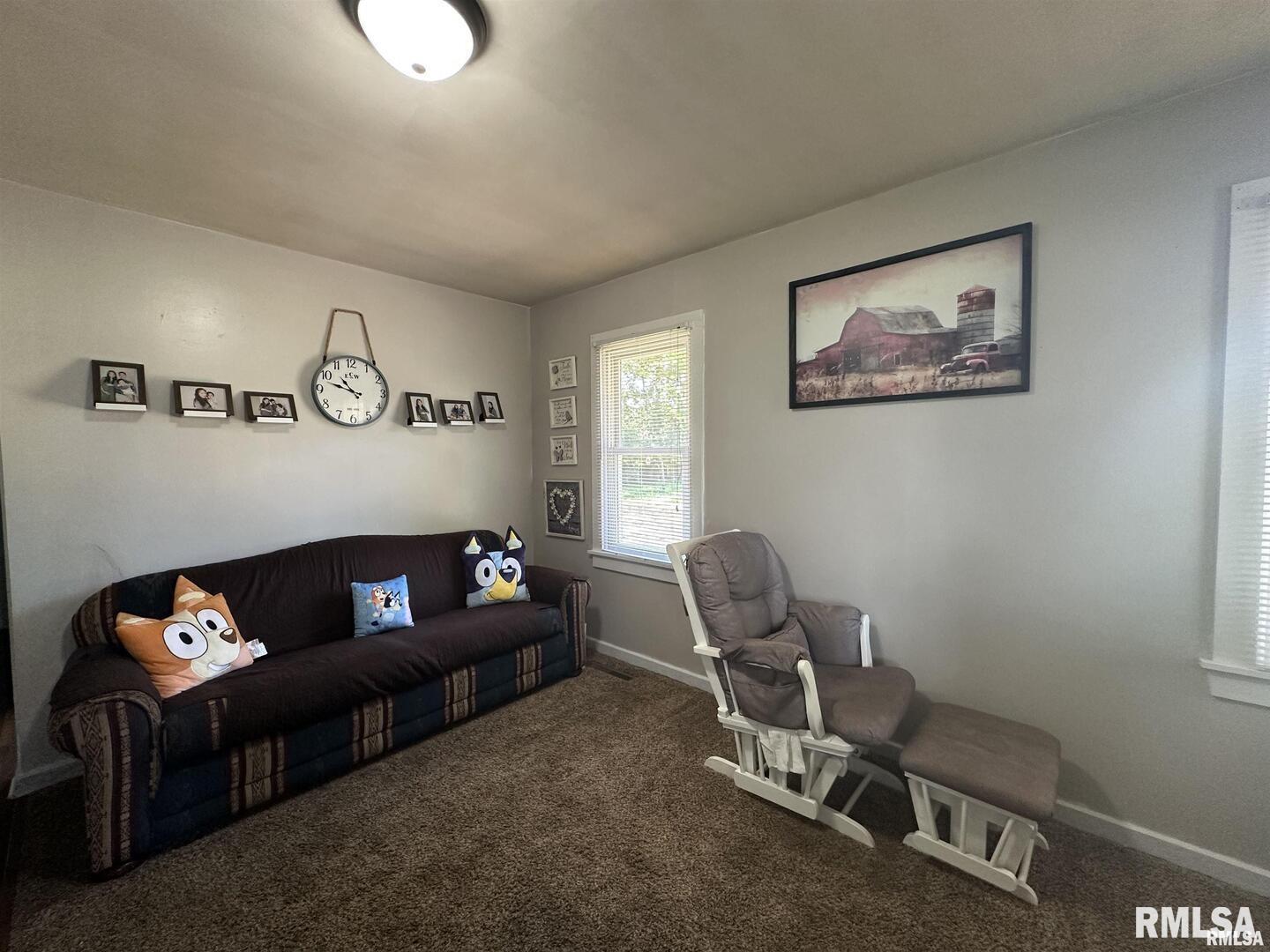 525 North Street Murphysboro, IL 62966 - Photo 5 of 24