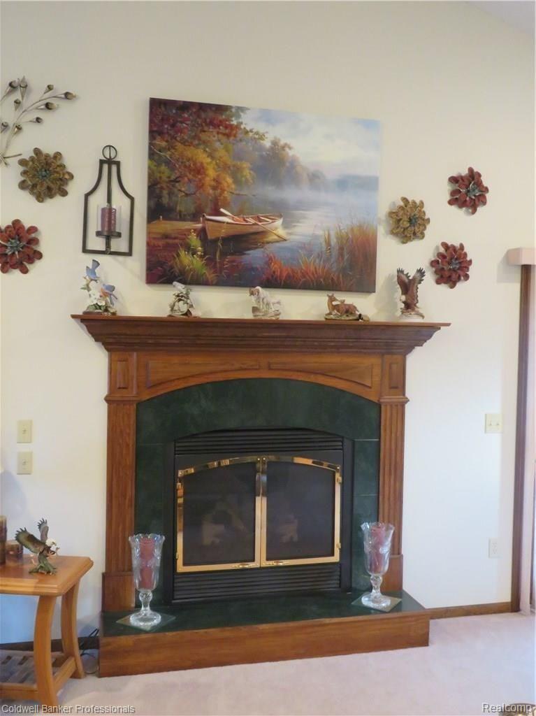 10739 South State Road Morrice, MI 48857 - Photo 6 of 27 6 10739 Fireplace.jpg