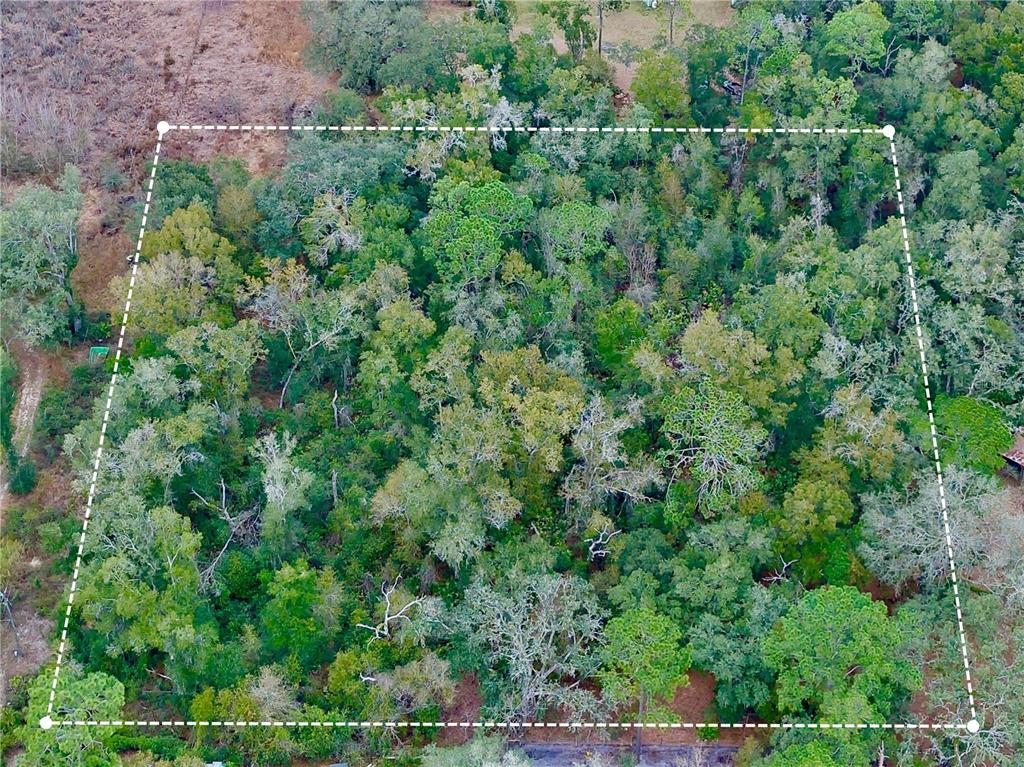 County Road Webster, FL 33597 - Photo 1 of 1