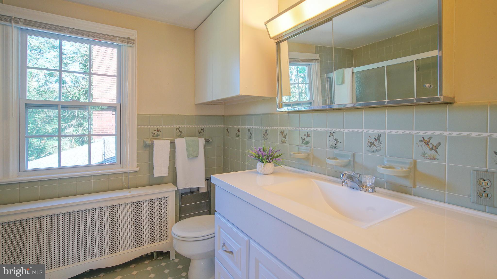 25616 Howell Point Road Worton, MD 21678 - Photo 17 of 28 Master Bathroom