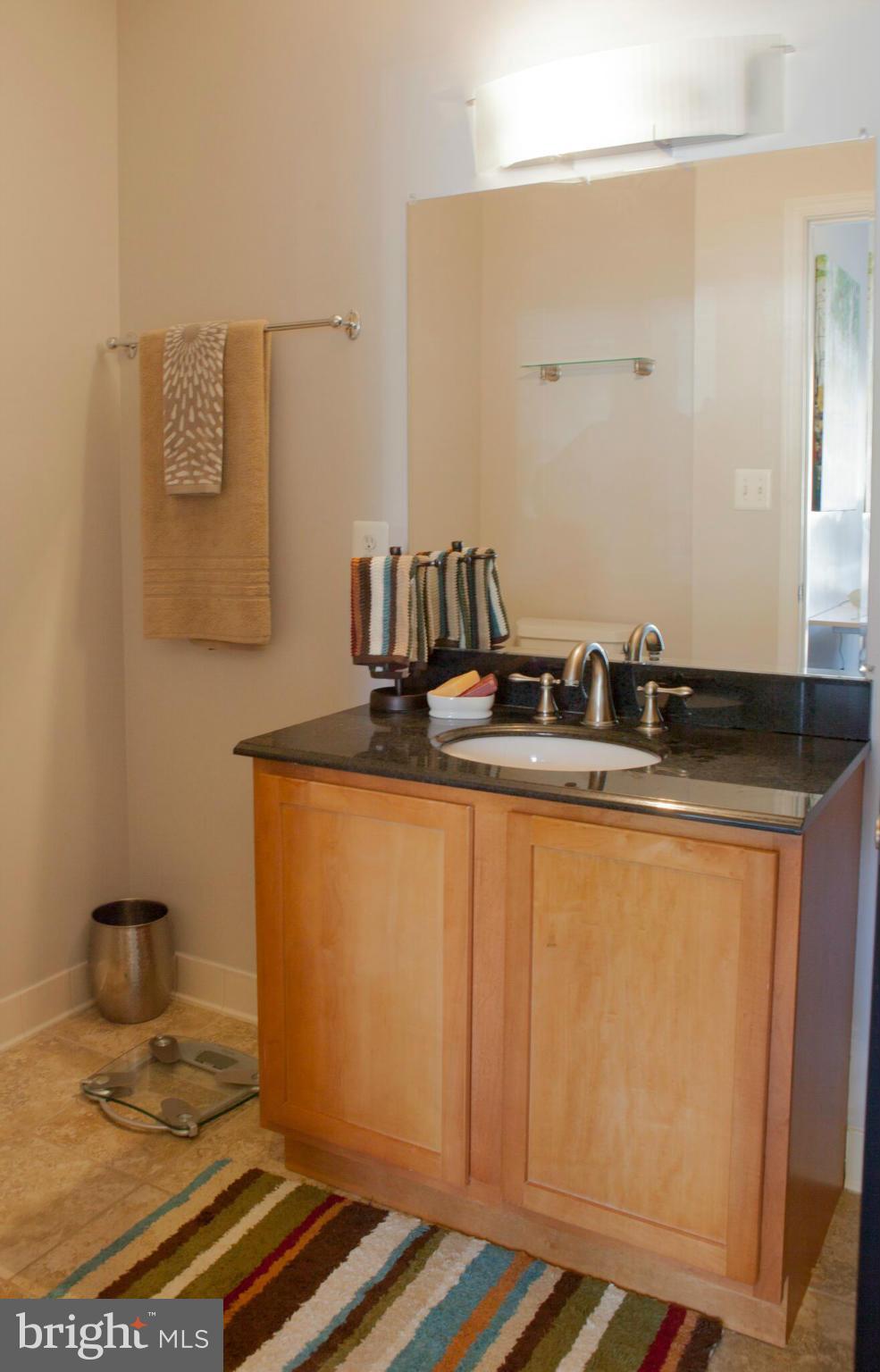1610 11th Street Northwest, Unit 2A Washington, DC 20001 - Photo 19 of 26 Bath (Master)