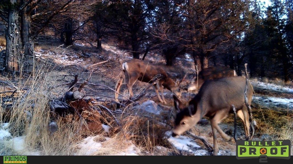 Shop Gulch Rd Mount Mount Vernon, OR 97865 - Photo 21 of 21 HUNT1857