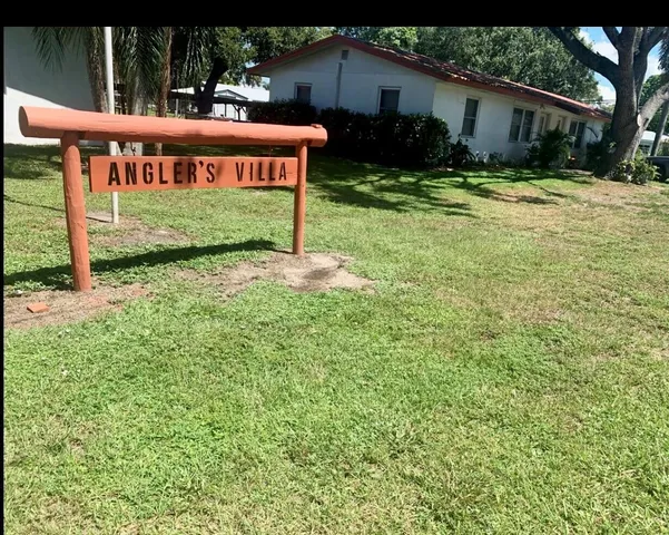 a view of a park with large trees