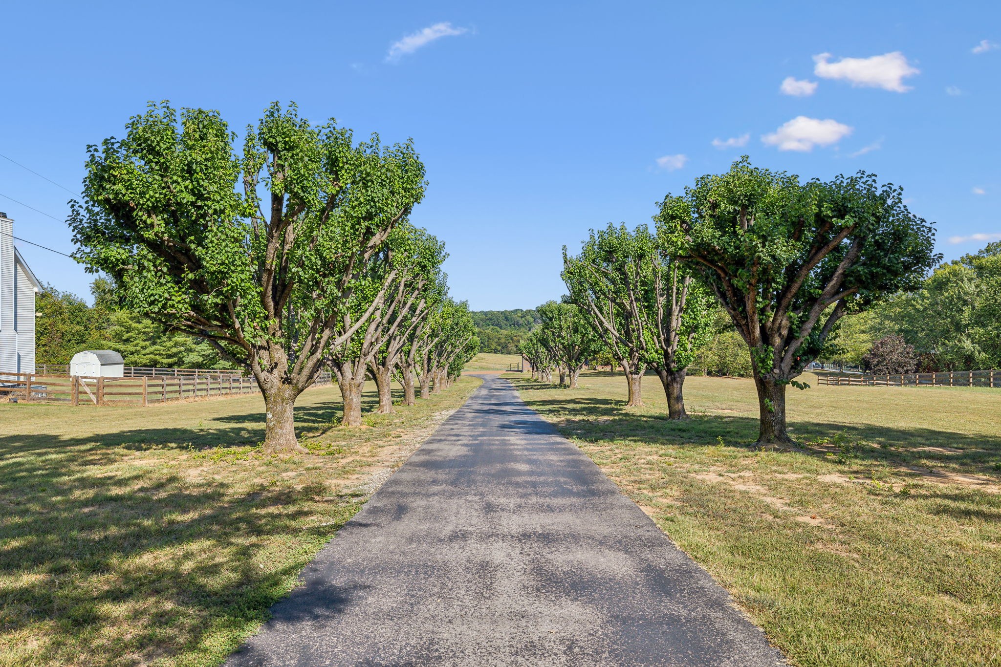 2859 Jack Teasley Road Pleasant View, TN 37146 - Photo 4 of 59