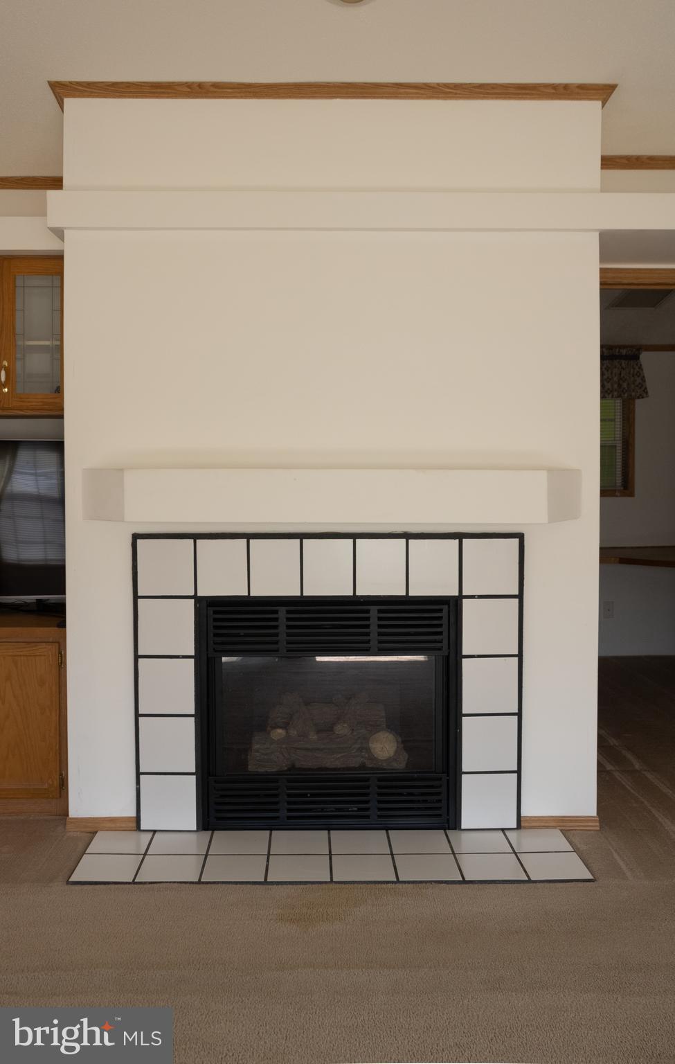 270 West Branch Road Barto, PA 19504 - Photo 18 of 52 Fireplace