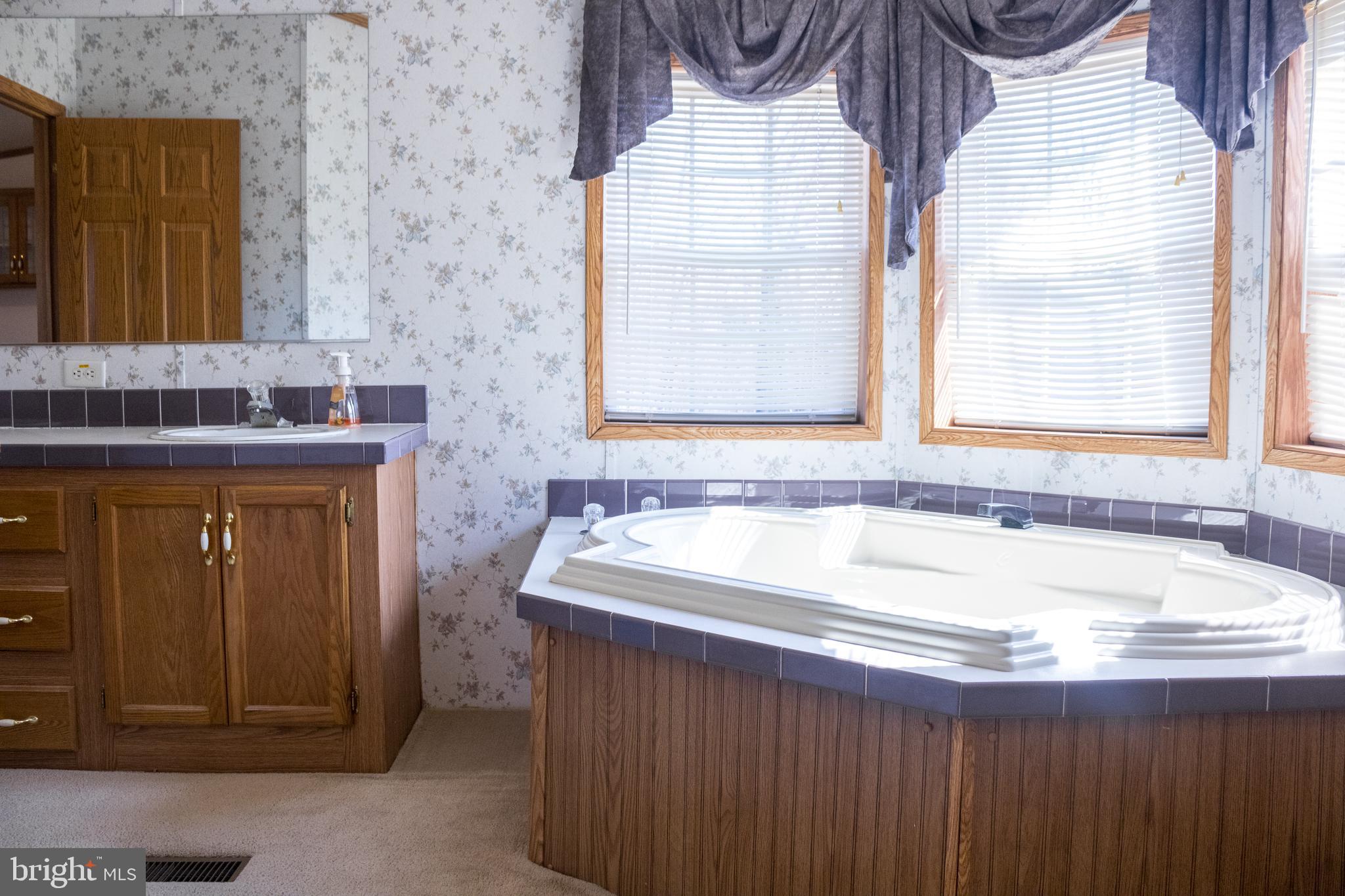 270 West Branch Road Barto, PA 19504 - Photo 26 of 52 Master Bath - Soaking Tub