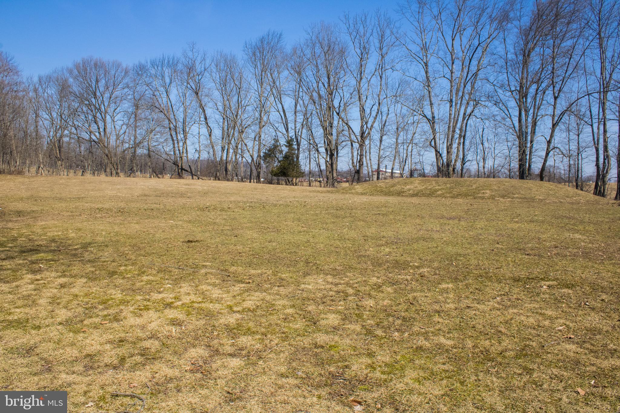 270 West Branch Road Barto, PA 19504 - Photo 44 of 52 Rear yard