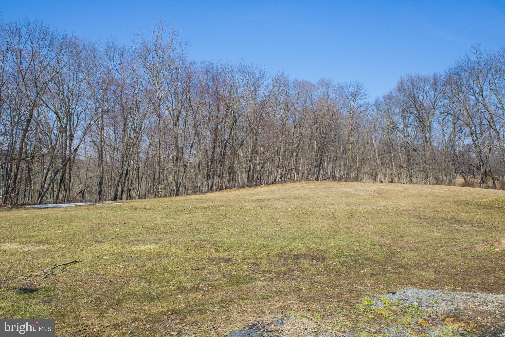 270 West Branch Road Barto, PA 19504 - Photo 46 of 52 View in rear
