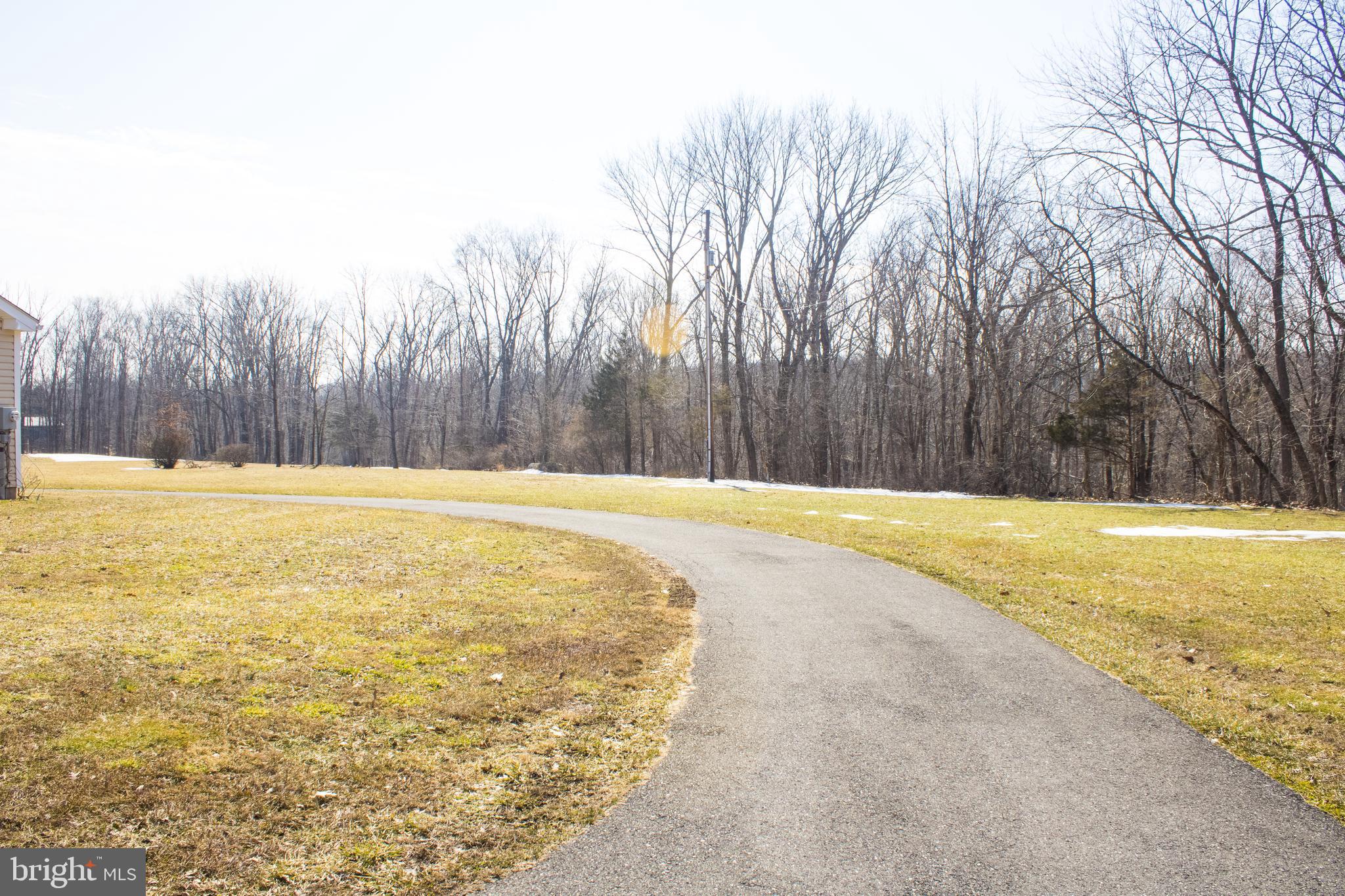 Driveway view