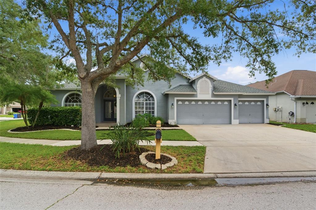 19348 Wind Dancer Street Lutz, FL 33558 - Photo 82 of 83