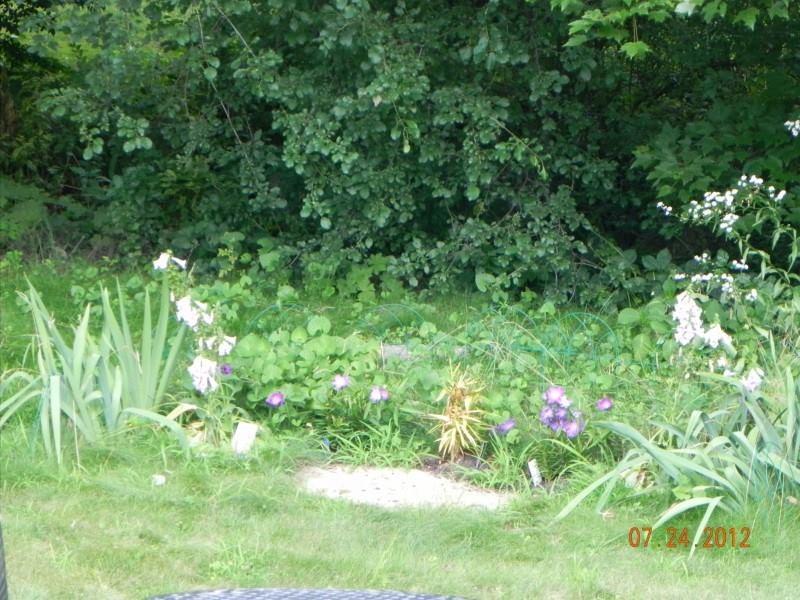 341 Lewiston Road New Gloucester, ME 04260 - Photo 30 of 30 Photo